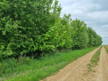 Terrains de loisirs bois etangs a vendre Érin 62134 Pas-de-Calais 5876 m2  19752 euros