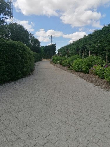 Maison a vendre Tréflaouénan 29440 Finistère 193 m2 11 pièces 302180 euros