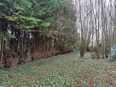 Maison a vendre Bellavilliers 61360 Orne 87 m2 4 pièces 90950 euros