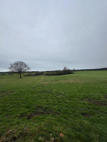 Maison a vendre Plouay 56240 Morbihan 134 m2 5 pièces 262300 euros