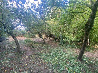 Terrains de loisirs bois etangs a vendre Mametz 62120 Pas-de-Calais 600 m2  17000 euros