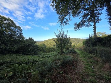 Terrains de loisirs bois etangs a vendre Rosporden 29140 Finistère 226898 m2  128000 euros