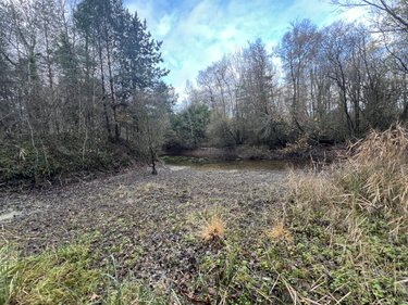 Terrains de loisirs bois etangs a vendre Jarzé-Villages 49140 Maine-et-Loire 75235 m2  83600 euros