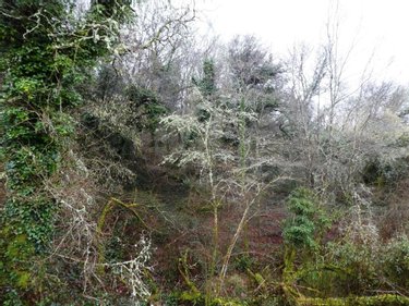 Terrains de loisirs bois etangs a vendre Saint-Tugdual 56540 Morbihan 13922 m2  10600 euros