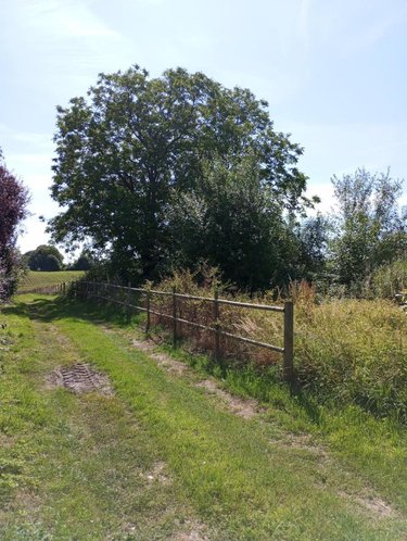 Terrain a batir a vendre La Flamengrie 02260 Aisne 4025 m2  63000 euros