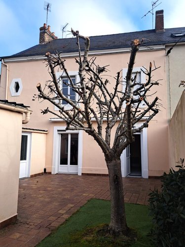 Maison a vendre Le Mans 72000 Sarthe 125 m2 6 pièces 220500 euros