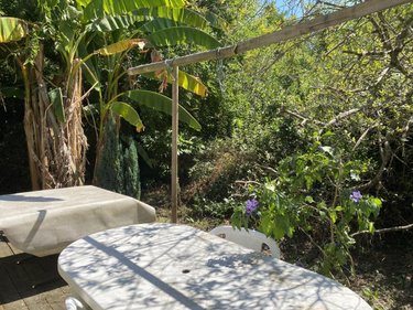 Maison a vendre Les Achards 85150 Vendée 50 m2 3 pièces 94700 euros