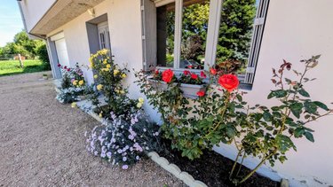 Maison a vendre Cusset 03300 Allier 161 m2 6 pièces 312000 euros