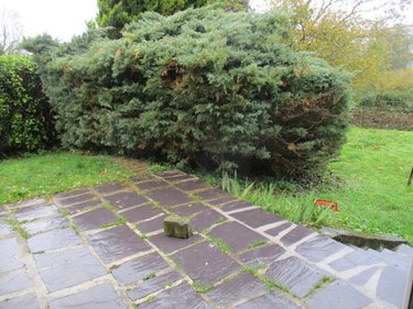 Location maison Brionne 27800 Eure 83 m2  775 euros