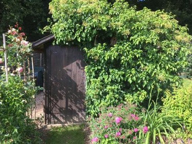 Maison a vendre Solesmes 72300 Sarthe 164 m2 8 pièces 327600 euros