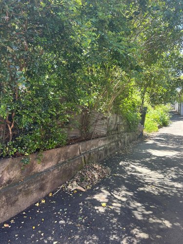 Terrain a batir a vendre Saint-Louis 97450 Réunion 270 m2  80750 euros