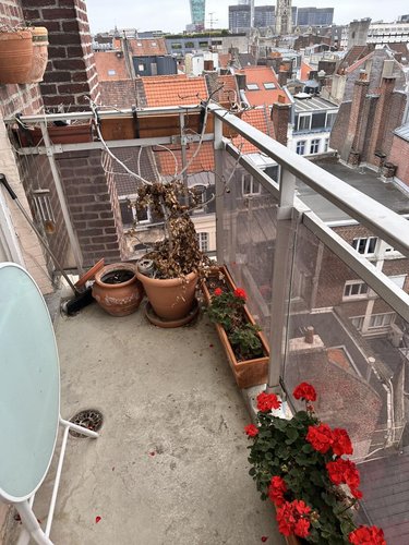 Appartement a vendre Lille 59000 Nord 85 m2 3 pièces 364000 euros