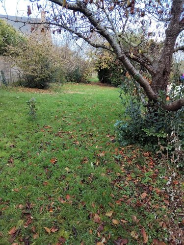 Maison a vendre Le Mans 72000 Sarthe 51 m2  120580 euros