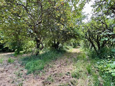 Maison a vendre Juillé 72170 Sarthe 93 m2 4 pièces 136480 euros