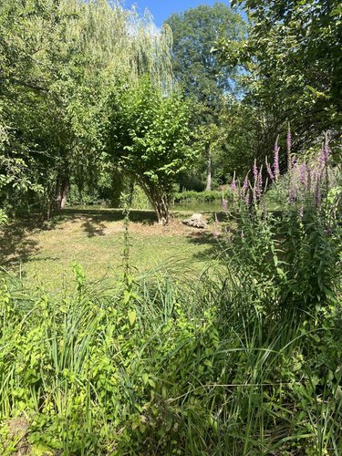 Terrains de loisirs bois etangs a vendre Parçay-sur-Vienne 37220 Indre-et-Loire 7760 m2  23600 euros