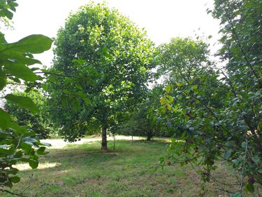 Maison a vendre Locqueltas 56390 Morbihan 150 m2 9 pièces 825372 euros
