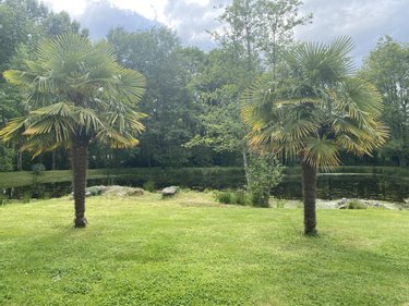 Terrains de loisirs bois etangs a vendre Sainte-Flaive-des-Loups 85150 Vendée 6000 m2  84400 euros