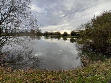 Terrains de loisirs bois etangs a vendre Saint-Léger 53480 Mayenne 9220 m2  31500 euros