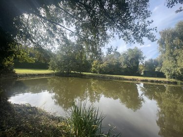 Terrains de loisirs bois etangs a vendre Lombron 72450 Sarthe 5800 m2  19800 euros