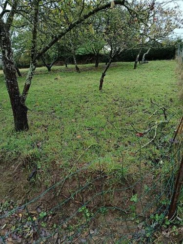 Terrain a batir a vendre Saint-Amand-Villages 50160 Manche 431 m2  15000 euros