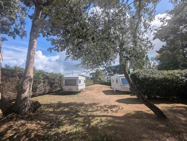Terrains de loisirs bois etangs a vendre Assérac 44410 Loire-Atlantique 1400 m2  42000 euros