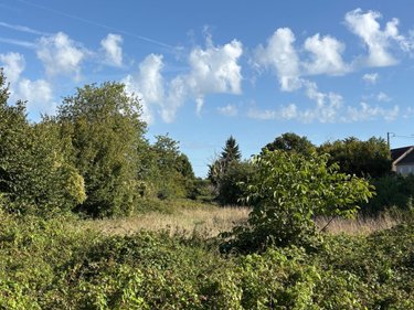 Terrains de loisirs bois etangs a vendre Sainte-Sabine-sur-Longève 72380 Sarthe 3715 m2  2800 euros