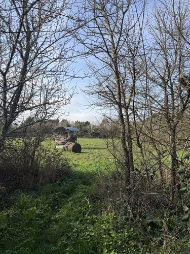Maison a vendre Bretignolles-sur-Mer 85470 Vendée 76 m2 4 pièces 269800 euros