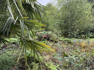 Maison a vendre La Prénessaye 22210 Côtes-d'Armor 191 m2  166960 euros