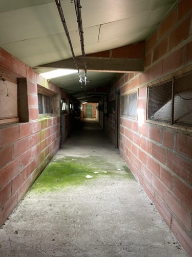 Divers a vendre Plumieux 22210 Côtes-d'Armor 1300 m2  33960 euros