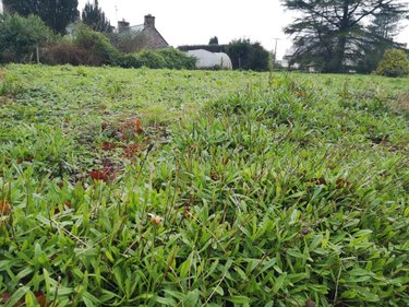 Terrain a batir a vendre Gommenec'h 22290 Côtes-d'Armor 510 m2  28950 euros