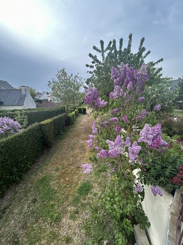 Maison a vendre Yffiniac 22120 Côtes-d'Armor 138 m2 7 pièces 339200 euros