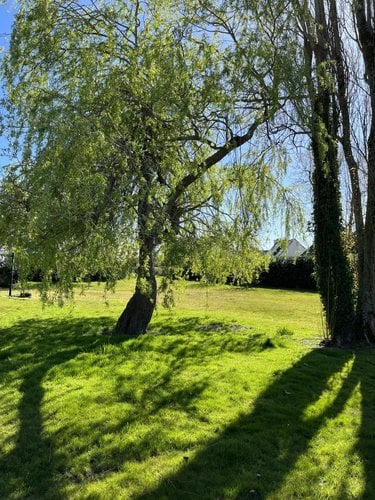 Terrain a batir a vendre La Forêt-Fouesnant 29940 Finistère 697 m2  203190 euros