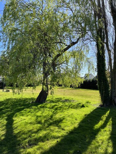 Terrain a batir a vendre La Forêt-Fouesnant 29940 Finistère 697 m2  214225 euros