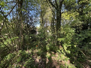 Terrain a batir a vendre Saint-Antoine-du-Rocher 37360 Indre-et-Loire 1748 m2  85600 euros