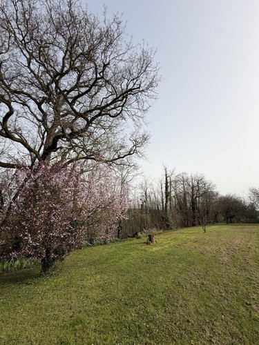 Maison a vendre Montrevault-sur-Èvre 49110 Maine-et-Loire 250 m2 9 pièces 354900 euros