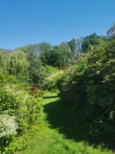 Maison a vendre Tressignaux 22290 Côtes-d'Armor 122 m2  262500 euros