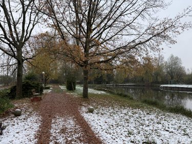 Divers a vendre Landrecies 59550 Nord 37698 m2  314400 euros