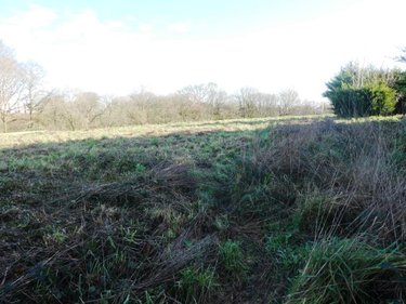 Terrain a batir a vendre Locmalo 56160 Morbihan 799 m2  31980 euros