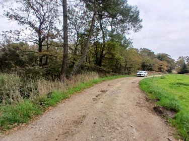 Terrains de loisirs bois etangs a vendre Allaire 56350 Morbihan 7515 m2  7500 euros