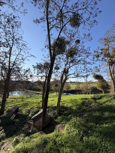 Terrain a batir a vendre Cholet 49300 Maine-et-Loire 1000 m2  94500 euros