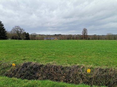 Terrain a batir a vendre Saint-Gonlay 35750 Ille-et-Vilaine 586 m2  48366 euros