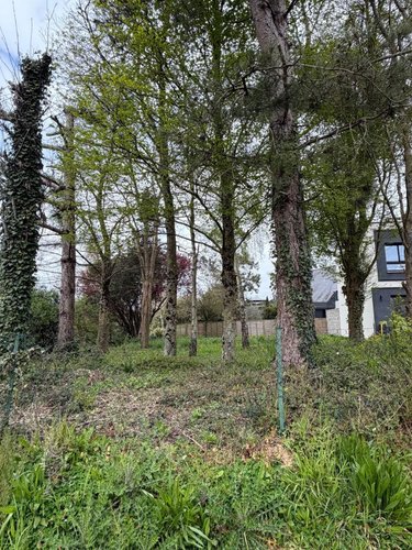 Terrain a batir a vendre Saint-Grégoire 35760 Ille-et-Vilaine 488 m2  345840 euros