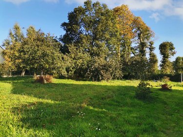 Maison a vendre La Nouaye 35137 Ille-et-Vilaine 73 m2 4 pièces 204360 euros