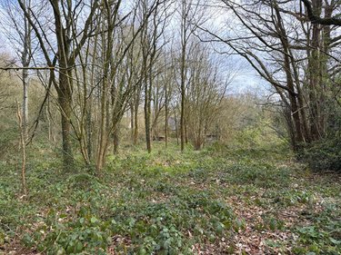 Maison a vendre Orgères 35230 Ille-et-Vilaine 110 m2 3 pièces 273000 euros