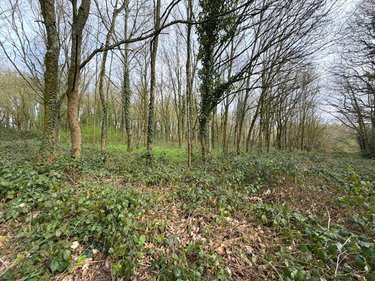 Maison a vendre Orgères 35230 Ille-et-Vilaine 110 m2 3 pièces 273000 euros