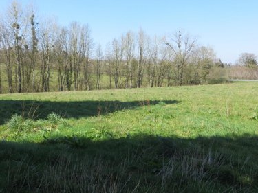 Maison a vendre Mesnil-Clinchamps 14380 Calvados 200 m2 7 pièces 263700 euros