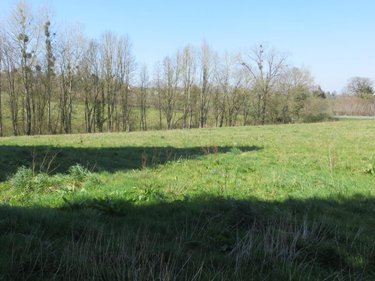 Maison a vendre Mesnil-Clinchamps 14380 Calvados 200 m2 7 pièces 242650 euros