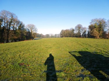 Maison a vendre Ploërdut 56160 Morbihan 150 m2 7 pièces 407750 euros