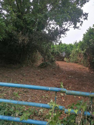 Maison a vendre Plouzévédé 29440 Finistère 30 m2 3 pièces 22400 euros