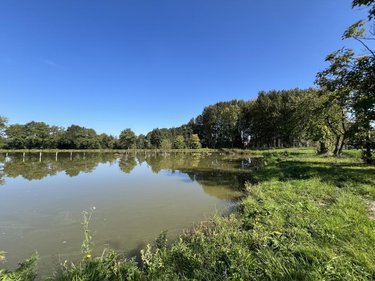 Terrains de loisirs bois etangs a vendre Caulnes 22350 Côtes-d'Armor 17094 m2  53490 euros
